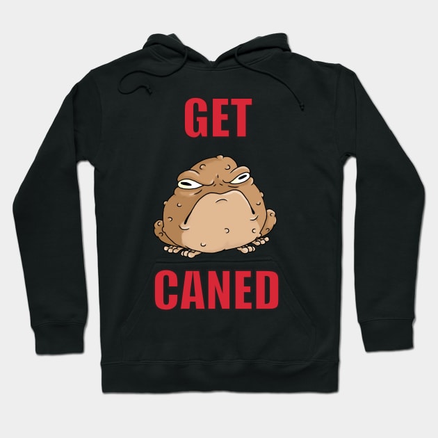 the cane toad Hoodie by ThePieLord